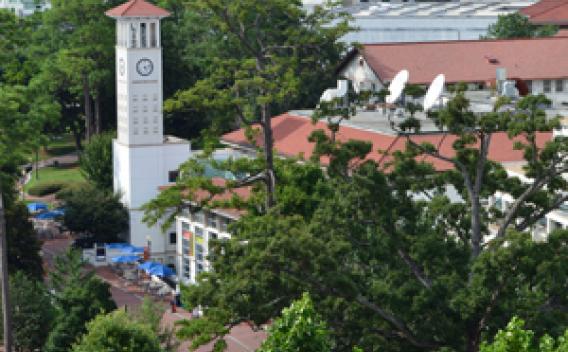 Photograph of campus clock tower
