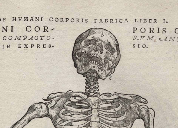 A binaural stethoscope circa 1860 and a Civil War surgeon's kit, which includes several types of bone saws, bullet forceps, knives and other instruments primarily used for amputations. Photo by Woodruff Health Sciences Center Library, Emory University.