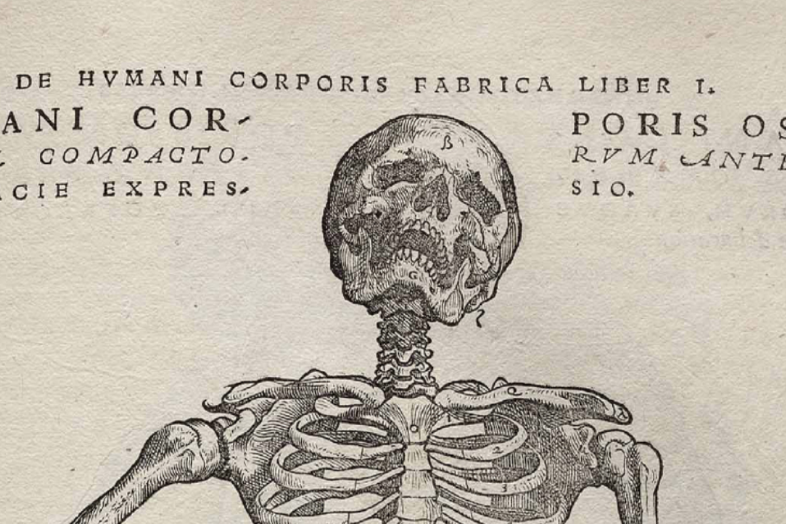  Intriguing Historical Medical Books and Artifacts